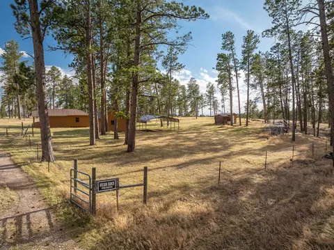 10545 Custer Limestone Rd, Custer, SD 57730 photo 8