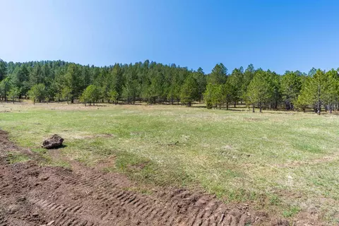 lot H Cold Spring Trl, Custer, SD 57730 photo 4