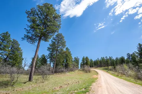 tbd Tanager Ct, Spearfish, SD 57783 photo 6