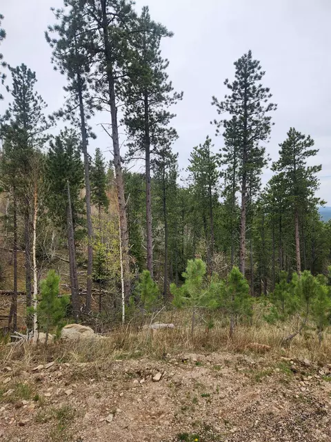 14 Aventure Loop, Lead, SD 57754 photo 3