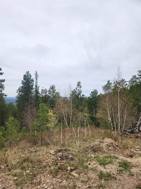 14 Aventure Loop, Lead, SD 57754 photo 4