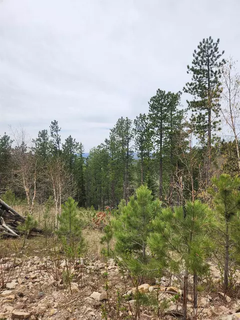 14 Aventure Loop, Lead, SD 57754 photo 2