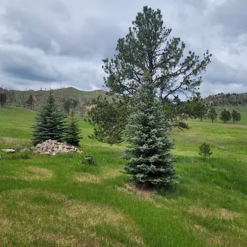 12748 Beaver Creek Rd, Custer, SD 57730 photo 10