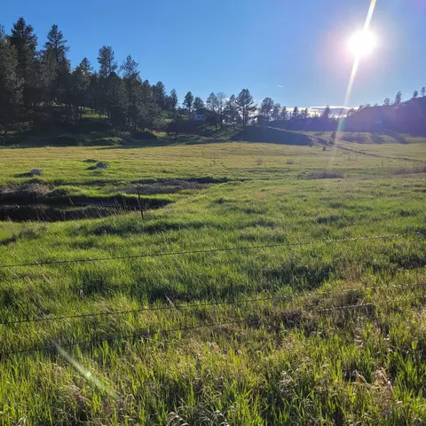 12748 Beaver Creek Rd, Custer, SD 57730 photo 31