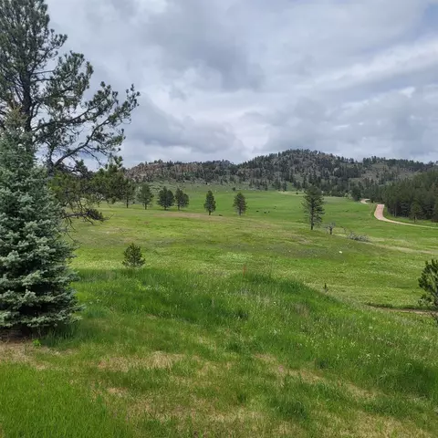 12748 Beaver Creek Rd, Custer, SD 57730 photo 9