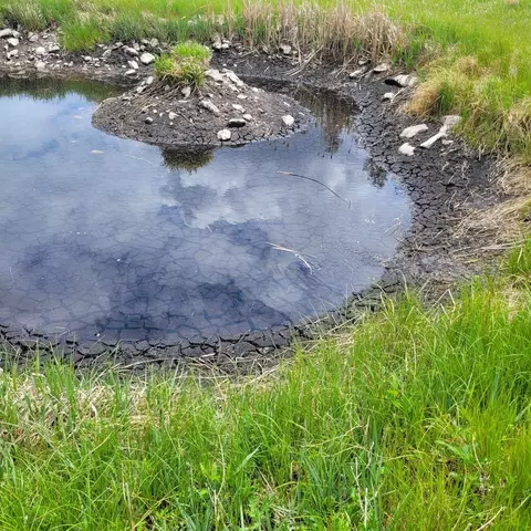 12748 Beaver Creek Rd, Custer, SD 57730 photo 28
