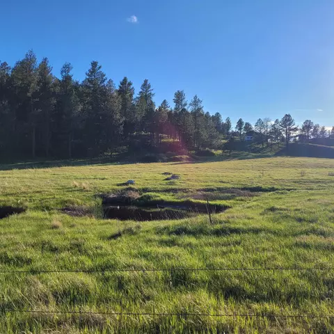 12748 Beaver Creek Rd, Custer, SD 57730 photo 33