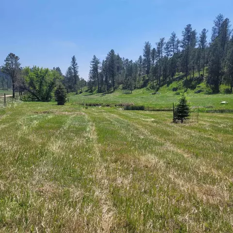 12748 Beaver Creek Rd, Custer, SD 57730 photo 26