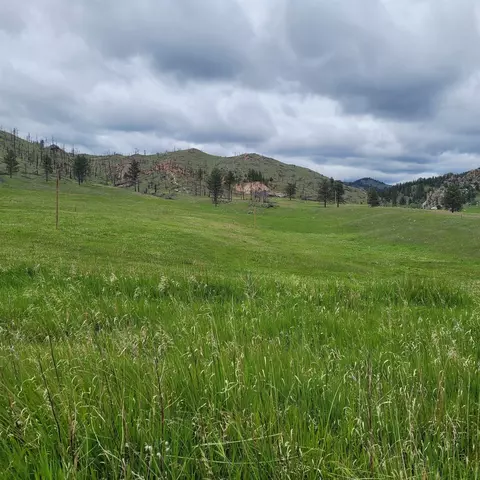 12748 Beaver Creek Rd, Custer, SD 57730 photo 8