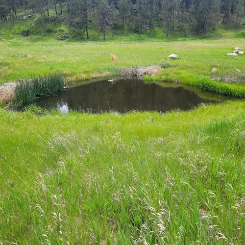 12748 Beaver Creek Rd, Custer, SD 57730 photo 29
