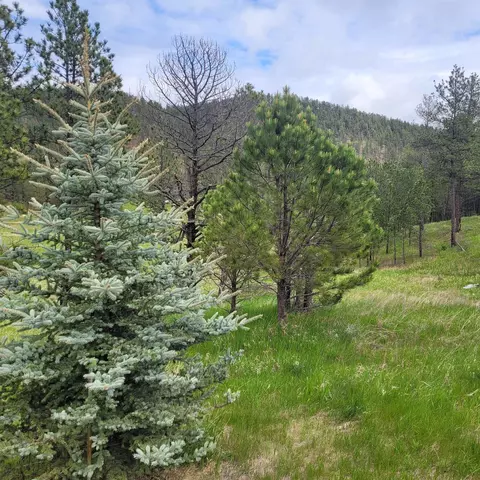 12748 Beaver Creek Rd, Custer, SD 57730 photo 11