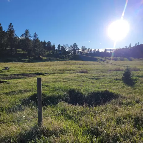 12748 Beaver Creek Rd, Custer, SD 57730 photo 32