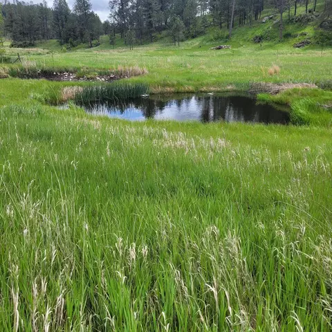 12748 Beaver Creek Rd, Custer, SD 57730 photo 27