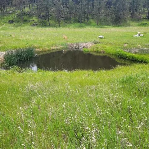 12748 Beaver Creek Rd, Custer, SD 57730 photo 34