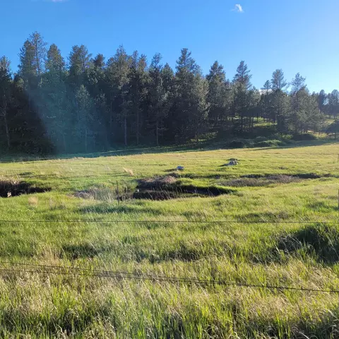 12748 Beaver Creek Rd, Custer, SD 57730 photo 30
