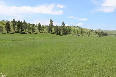20 57 Acres Custer Limestone Rd, Custer, SD 57730 photo 6