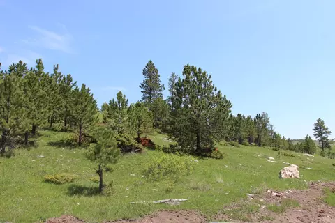 20 57 Acres Custer Limestone Rd, Custer, SD 57730 photo 12