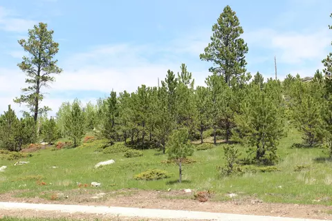20 57 Acres Custer Limestone Rd, Custer, SD 57730 photo 9