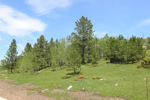 20 57 Acres Custer Limestone Rd, Custer, SD 57730 photo 11