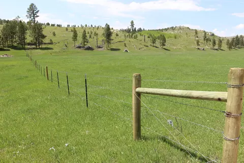 20 57 Acres Custer Limestone Rd, Custer, SD 57730 photo 13