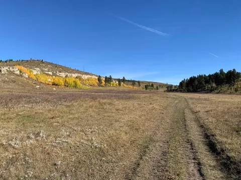 65 49 Acres Custer Limestone Rd, Custer, SD 57730 photo 19
