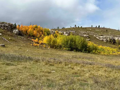 65 49 Acres Custer Limestone Rd, Custer, SD 57730 photo 18