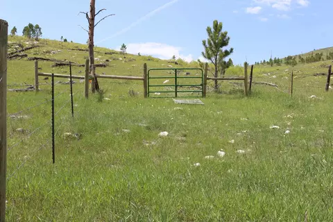 65 49 Acres Custer Limestone Rd, Custer, SD 57730 photo 10