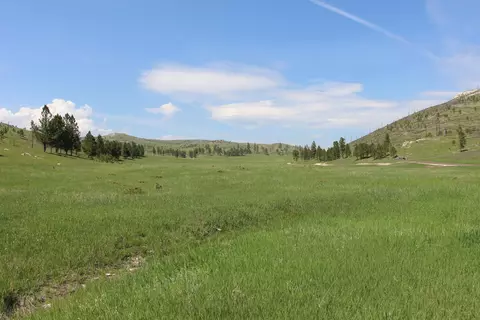 65 49 Acres Custer Limestone Rd, Custer, SD 57730 photo 11