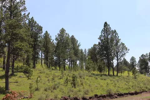 65 49 Acres Custer Limestone Rd, Custer, SD 57730 photo 14