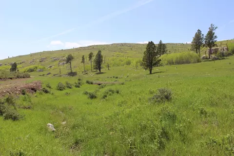 65 49 Acres Custer Limestone Rd, Custer, SD 57730 photo 13