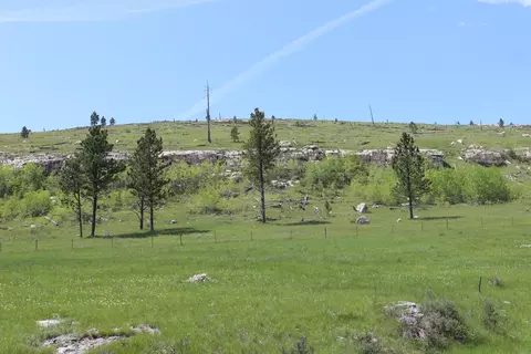 65 49 Acres Custer Limestone Rd, Custer, SD 57730 photo 6