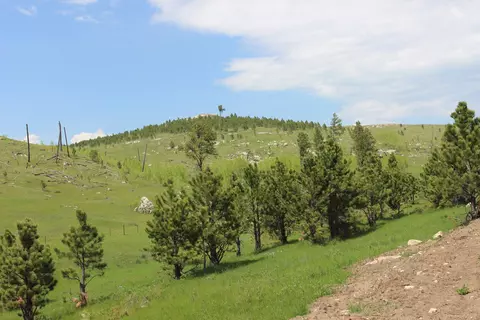65 49 Acres Custer Limestone Rd, Custer, SD 57730 photo 9