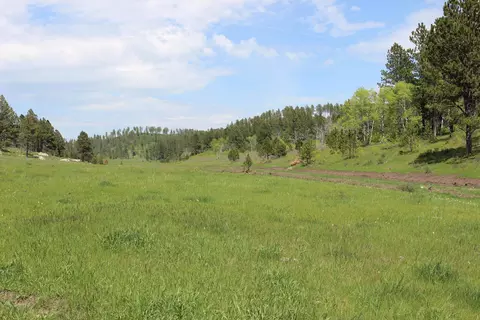 65 49 Acres Custer Limestone Rd, Custer, SD 57730 photo 4