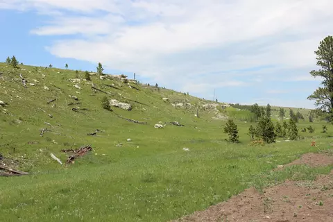 65 49 Acres Custer Limestone Rd, Custer, SD 57730 photo 15