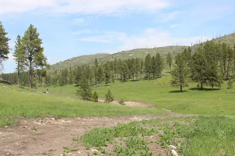 65 49 Acres Custer Limestone Rd, Custer, SD 57730 photo 7