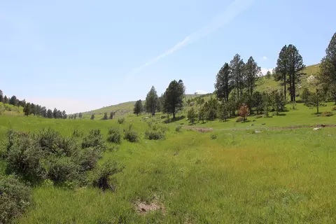 65 49 Acres Custer Limestone Rd, Custer, SD 57730 photo 8