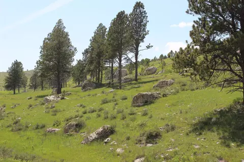 65 49 Acres Custer Limestone Rd, Custer, SD 57730 photo 17