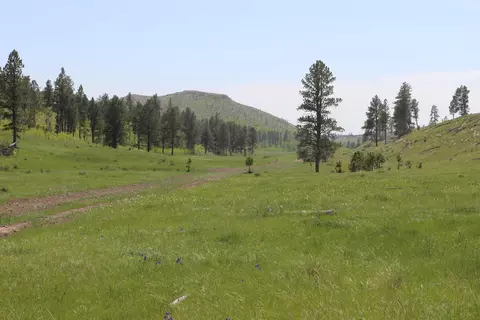 65 49 Acres Custer Limestone Rd, Custer, SD 57730