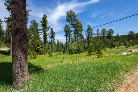 13 66 Acres Magpie Rd, Lead, SD 57754 photo 5