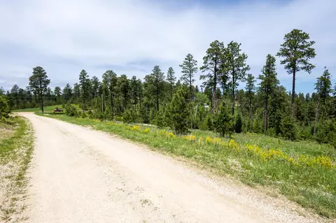 13 66 Acres Magpie Rd, Lead, SD 57754 photo 11