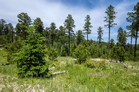 13 66 Acres Magpie Rd, Lead, SD 57754 photo 7