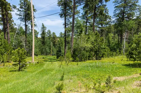 13 66 Acres Magpie Rd, Lead, SD 57754 photo 3