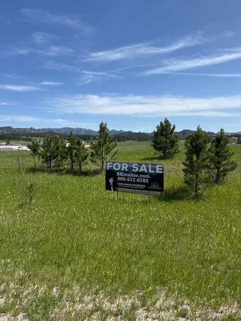 lot24 Park Ave, Custer, SD 57730 photo 6