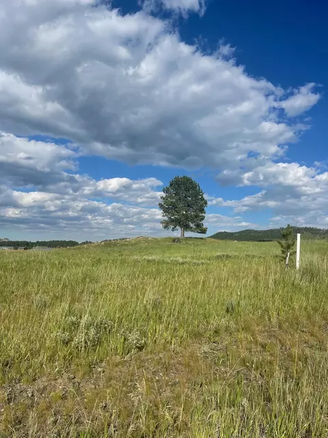 lot24 Park Ave, Custer, SD 57730 photo 5