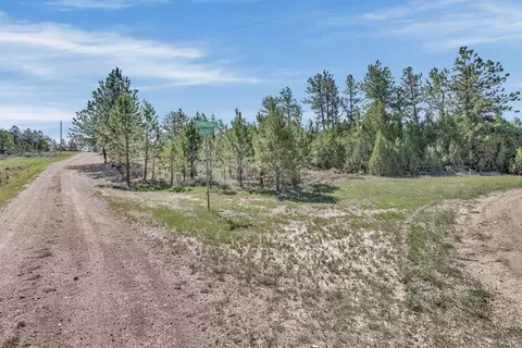tbd Remington Rd, Custer, SD 57330 photo 12