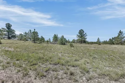tbd Remington Rd, Custer, SD 57330 photo 20