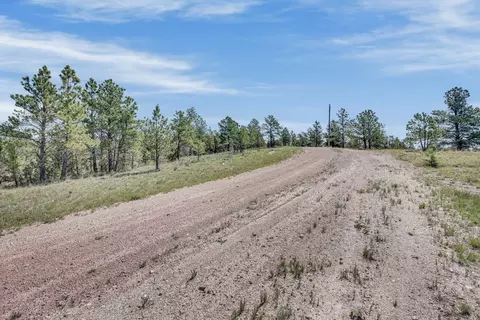 tbd Remington Rd, Custer, SD 57330 photo 19