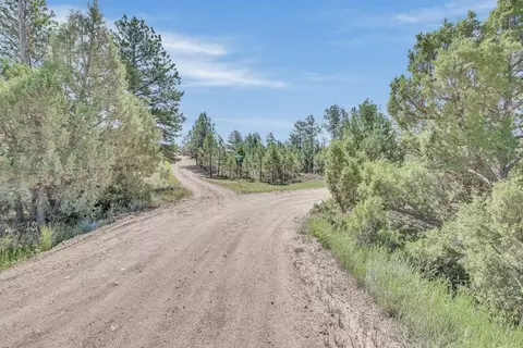 tbd Remington Rd, Custer, SD 57330 photo 15