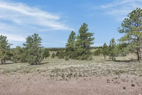 tbd Remington Rd, Custer, SD 57330 photo 32