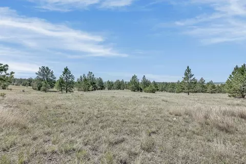 tbd Remington Rd, Custer, SD 57330 photo 22